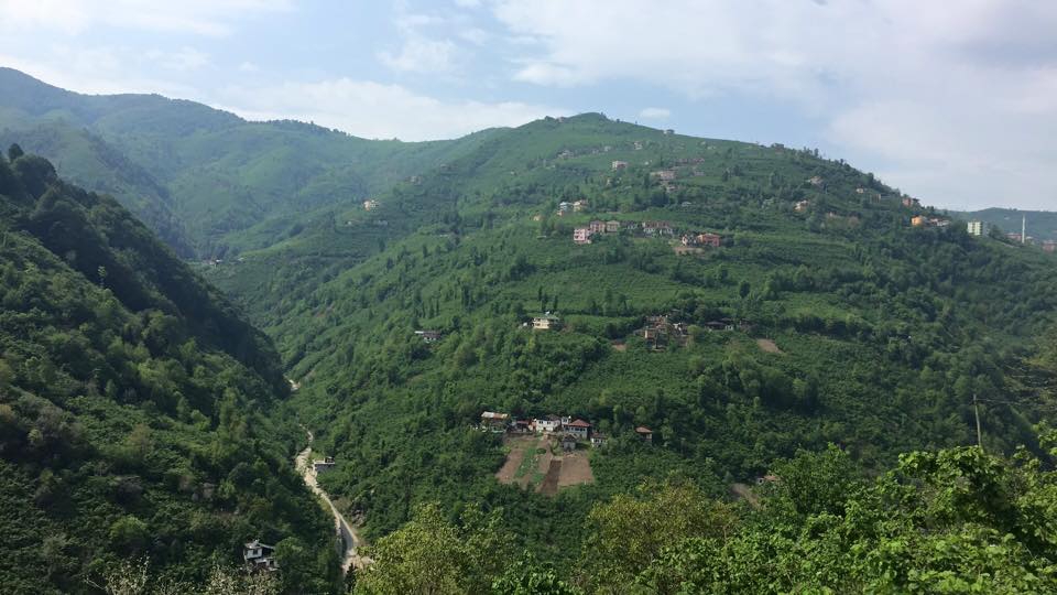 Araklı Karatepe Köyü Resimleri 26