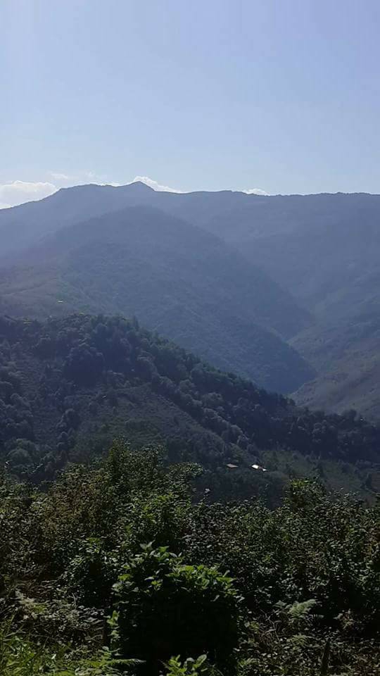 Araklı Karatepe Köyü Resimleri 5