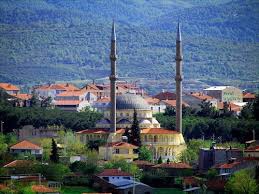 Biga  İdriskoru Köyü Resimleri 7