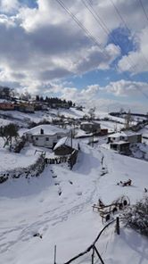 Biga İlyasalan Köyü  Resimlyeri 3