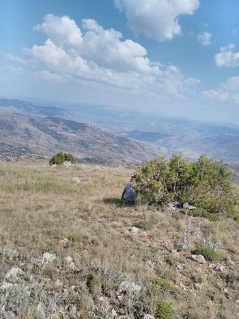 Çamoluk Akyapı Köyü Resimleri 5
