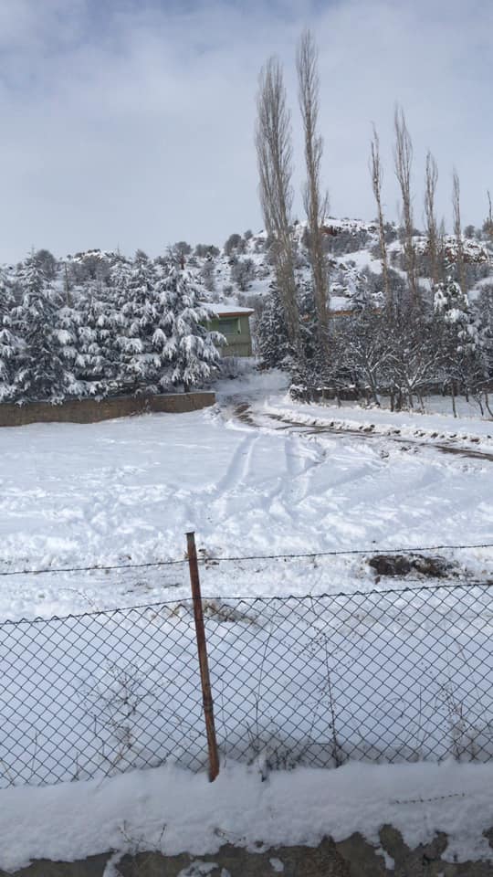 Çamoluk Akyapı Köyü Resimleri 6