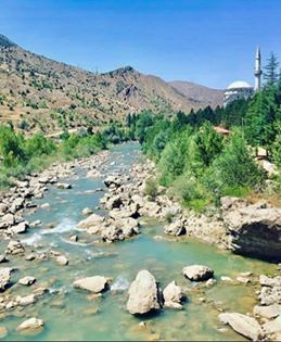 Çamoluk Bayır Köyü Resimleri 5