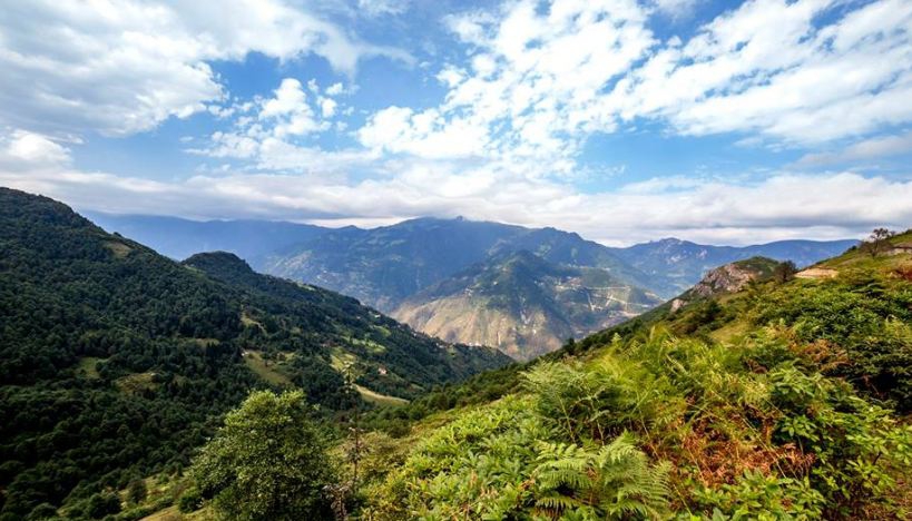 Araklı Kayacık Köyü Resimleri 10