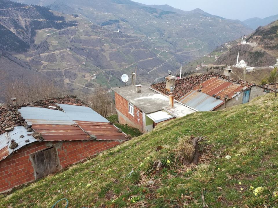 Araklı Kayacık Köyü Resimleri 12