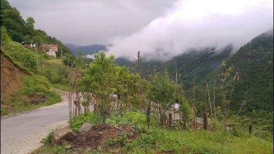 Araklı Kayacık Köyü Resimleri 2