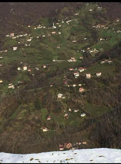 Araklı Kayacık Köyü Resimleri 3