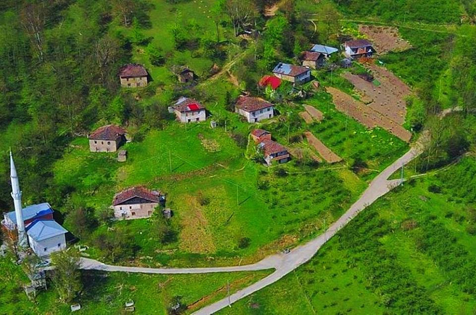 Araklı Kayacık Köyü Resimleri 5