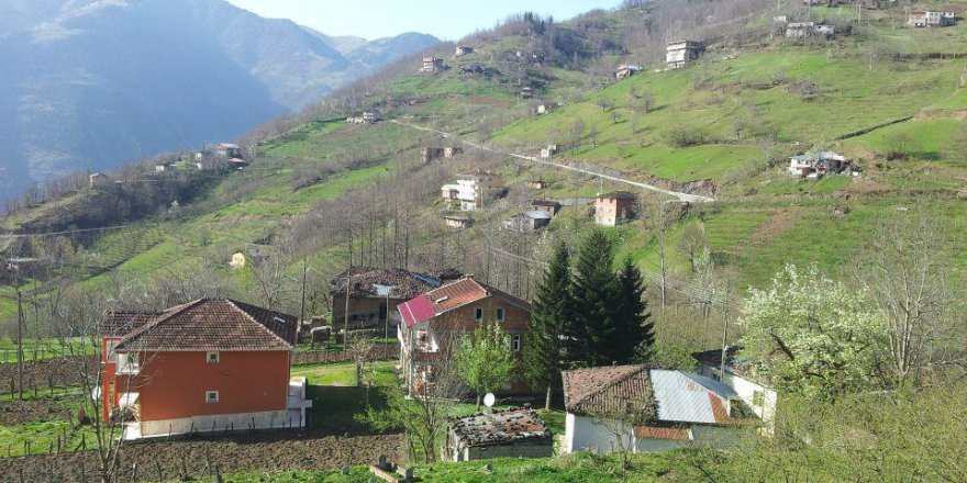 Araklı Kayacık Köyü Resimleri