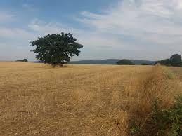 Biga Kanibey Köyü 5