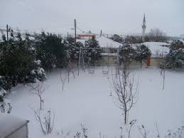 Biga Kanibey Köyü 6