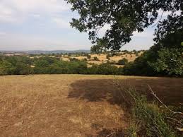 Biga Kanibey Köyü 7