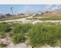 Biga Kapanbeleni Köyü Resimleri 4