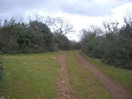 Biga Kapanbeleni Köyü Resimleri 5