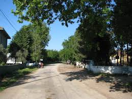 Biga Kaşıkcıoba Köyü Resimleri 3