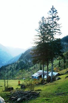 Araklı Kayaiçi Köyü Resimleri 1