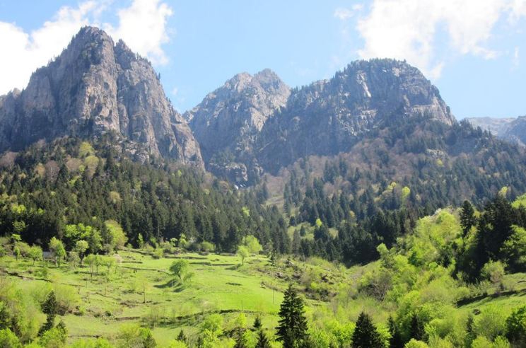 Araklı Kayaiçi Köyü Resimleri 12