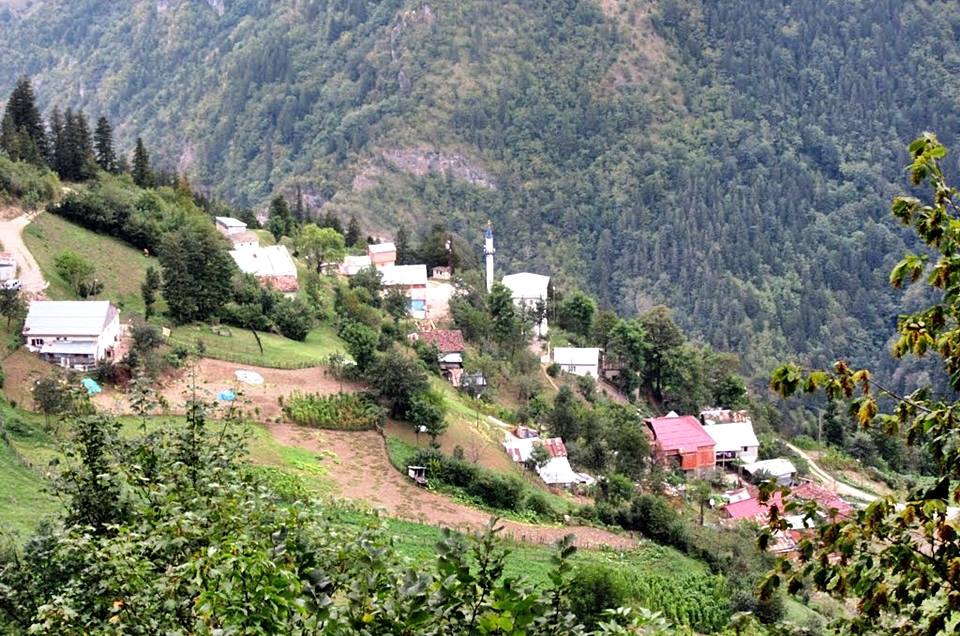 Araklı Kayaiçi Köyü Resimleri 17