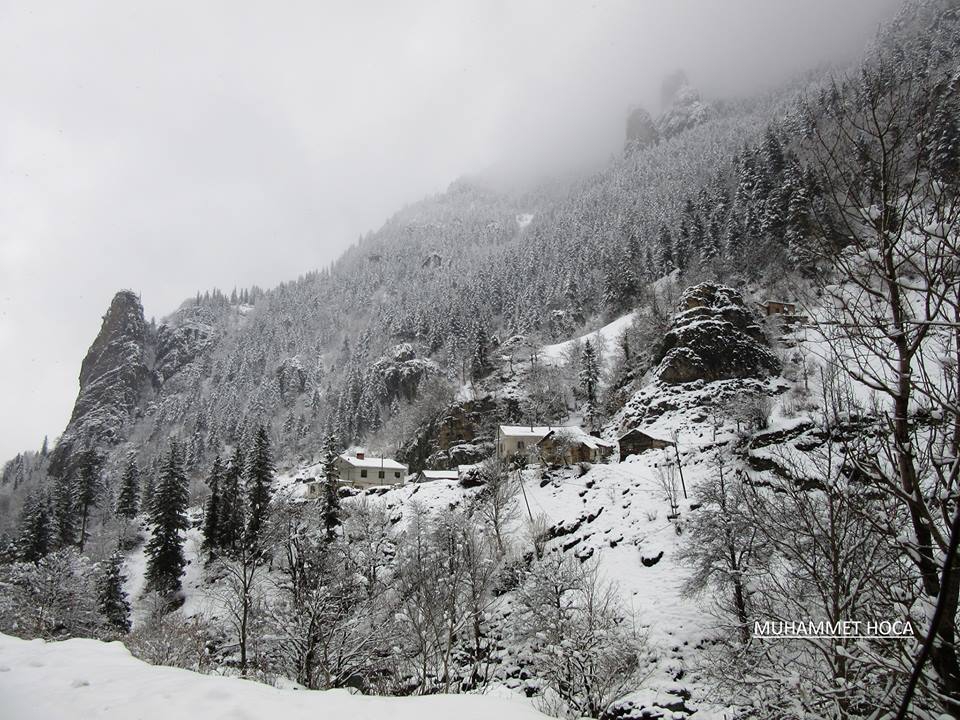 Araklı Kayaiçi Köyü Resimleri 18