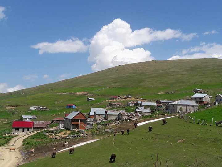 Araklı Kayaiçi Köyü Resimleri 2