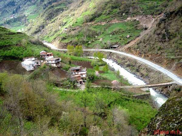 Araklı Kayaiçi Köyü Resimleri 3