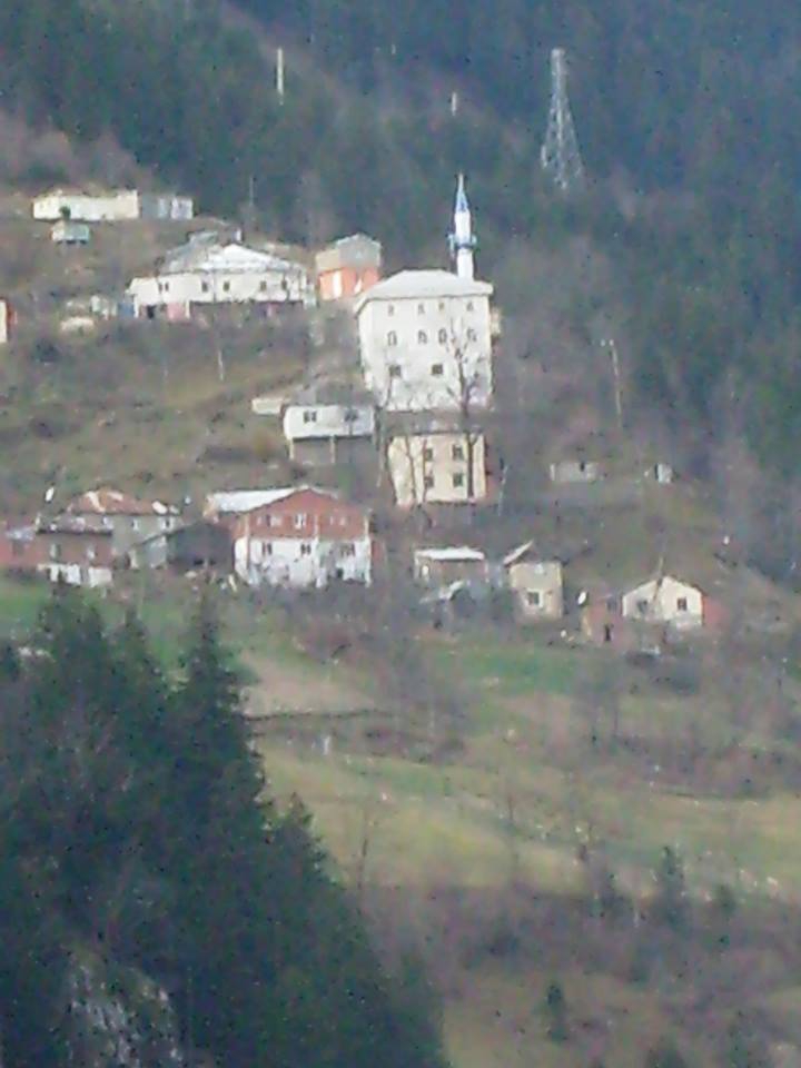 Araklı Kayaiçi Köyü Resimleri 4