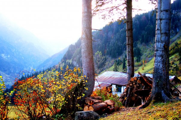 Araklı Kayaiçi Köyü Resimleri 6