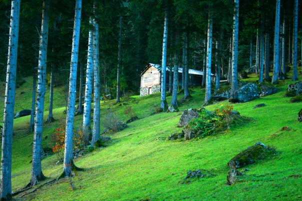 Araklı Kayaiçi Köyü Resimleri 7