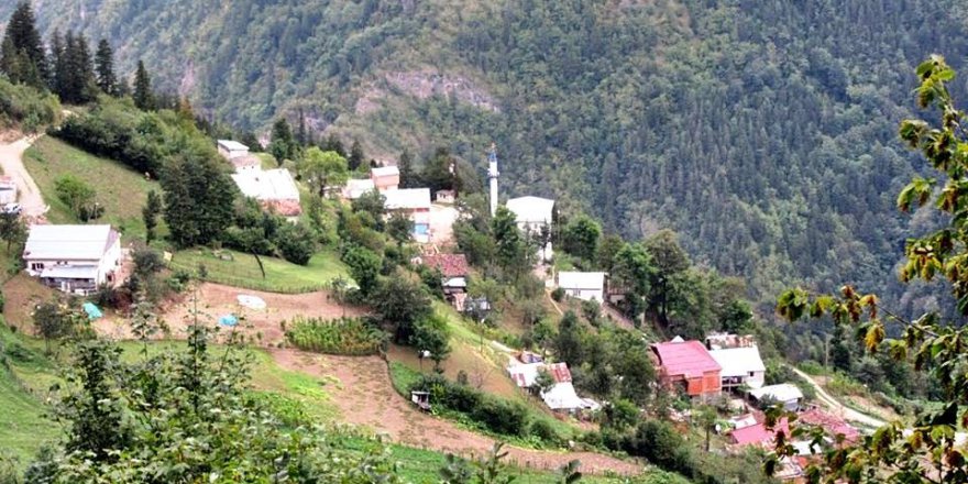 Araklı Kayaiçi Köyü Resimleri