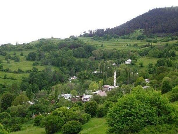 Posof Gümüşkavak Köyü Resimleri 1