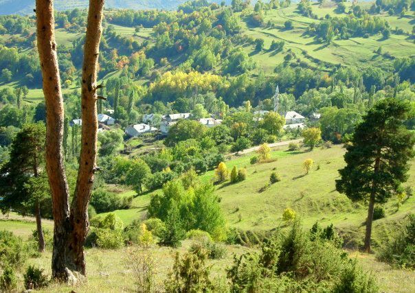 Posof Gümüşkavak Köyü Resimleri 10