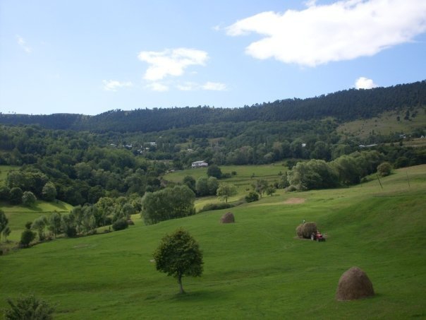 Posof Gümüşkavak Köyü Resimleri 4
