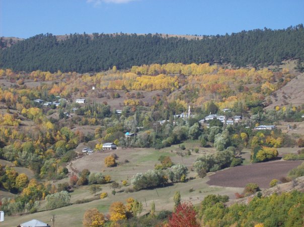 Posof Gümüşkavak Köyü Resimleri 5