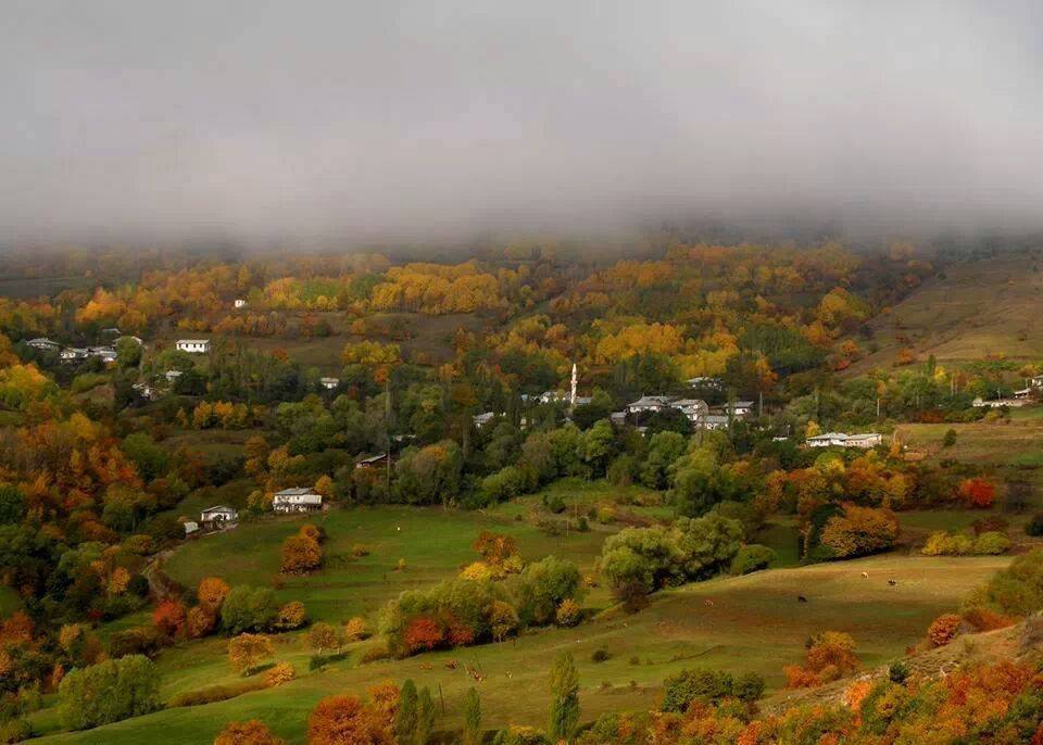 Posof Gümüşkavak Köyü Resimleri 6
