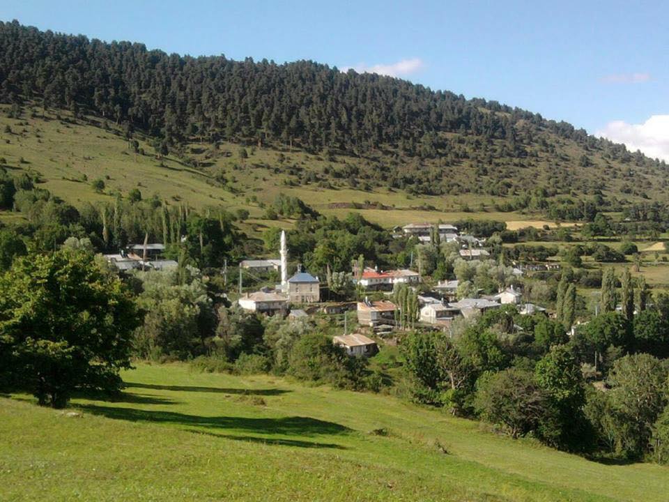 Posof Gümüşkavak Köyü Resimleri 9