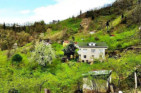 Araklı Kaymaklı Köyü Resimleri 4