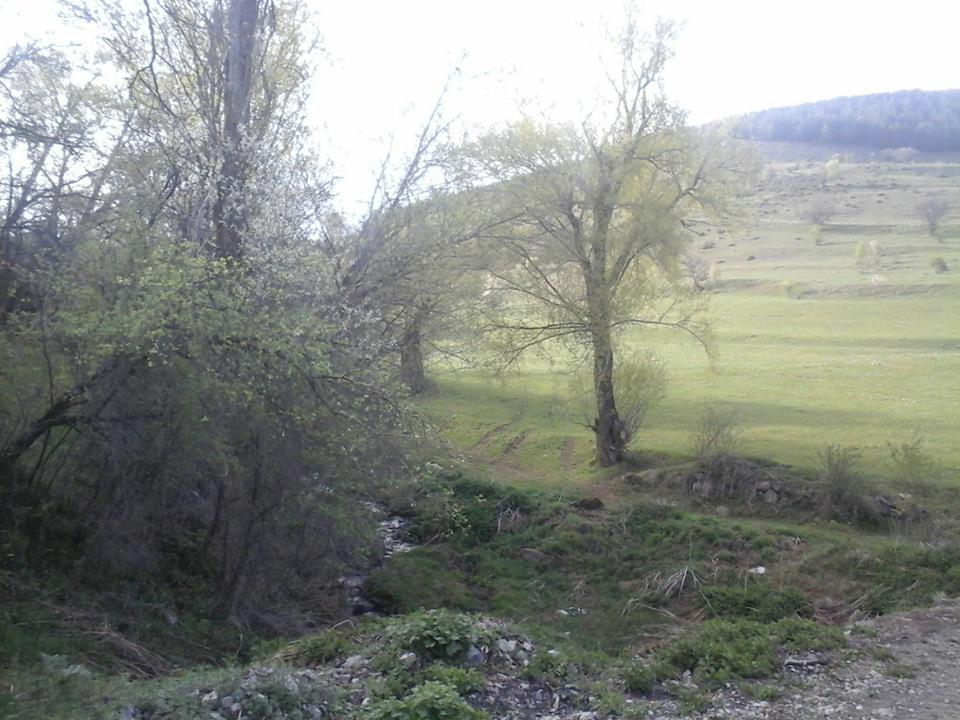Posof Özbaşı Köyü Resimleri 4