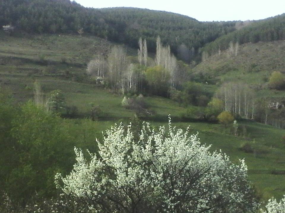 Posof Özbaşı Köyü Resimleri 6
