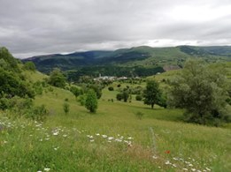 Posof Özbaşı Köyü Resimleri 8