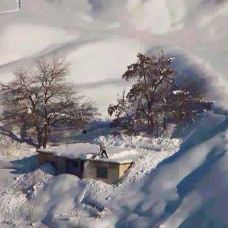 Çamoluk Daldibi Köyü Resimleri 3