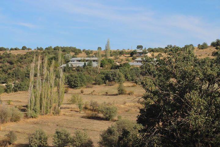 Çamoluk Daldibi Köyü Resimleri 9