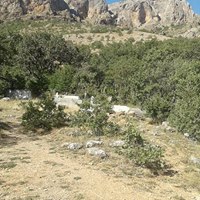 Çamoluk Eğnir Köyü Resimleri 11