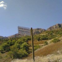 Çamoluk Eğnir Köyü Resimleri 2