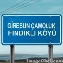 Çamoluk Fındıklı Köyü Resimleri 11