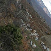 Çamoluk Gücer Köyü Resimleri 15