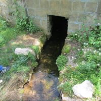 Çamoluk Gücer Köyü Resimleri 3