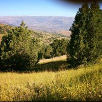 Çamoluk Gücer Köyü Resimleri 7