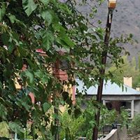 Çamoluk Gücer Köyü Resimleri 8