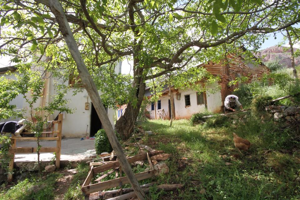 Çamoluk Hacıahmetoğlu Köyü Resimleri 8