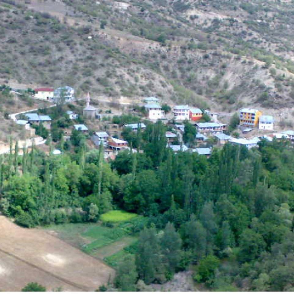 Çamoluk Hacıören Köyü Resimleri 1